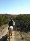11 Headed towards backside of Trail 1.JPG (64663 bytes)