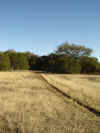14 Trail 9A.JPG (62292 bytes)
