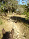 15 Twister headed into rocky part of Trail 9.JPG (83365 bytes)
