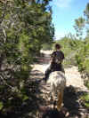 1 Trail 2A Middle.JPG (88171 bytes)
