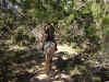 2 Trail 2A.JPG (103442 bytes)
