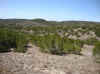 4 Trail 3A looking toward Trail 4.JPG (74082 bytes)