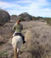 4 Trail 9 Grasslands.JPG (76129 bytes)