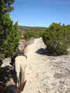 5 Trail 3B.JPG (80446 bytes)