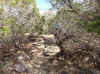 6 Trail 7 Rocks.JPG (100642 bytes)