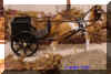 CartLargeA.JPG (22646 bytes)