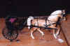 HarnessRig.JPG (85892 bytes)