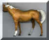 Palomino Show Left.JPG (75415 bytes)