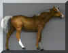 Palomino Show Right.JPG (65406 bytes)