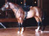 Sidesaddle.JPG (81741 bytes)