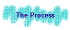 The Process